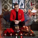 دانلود آهنگ محسن هنرمند ۴۰ سالگی